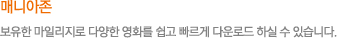 매니아존